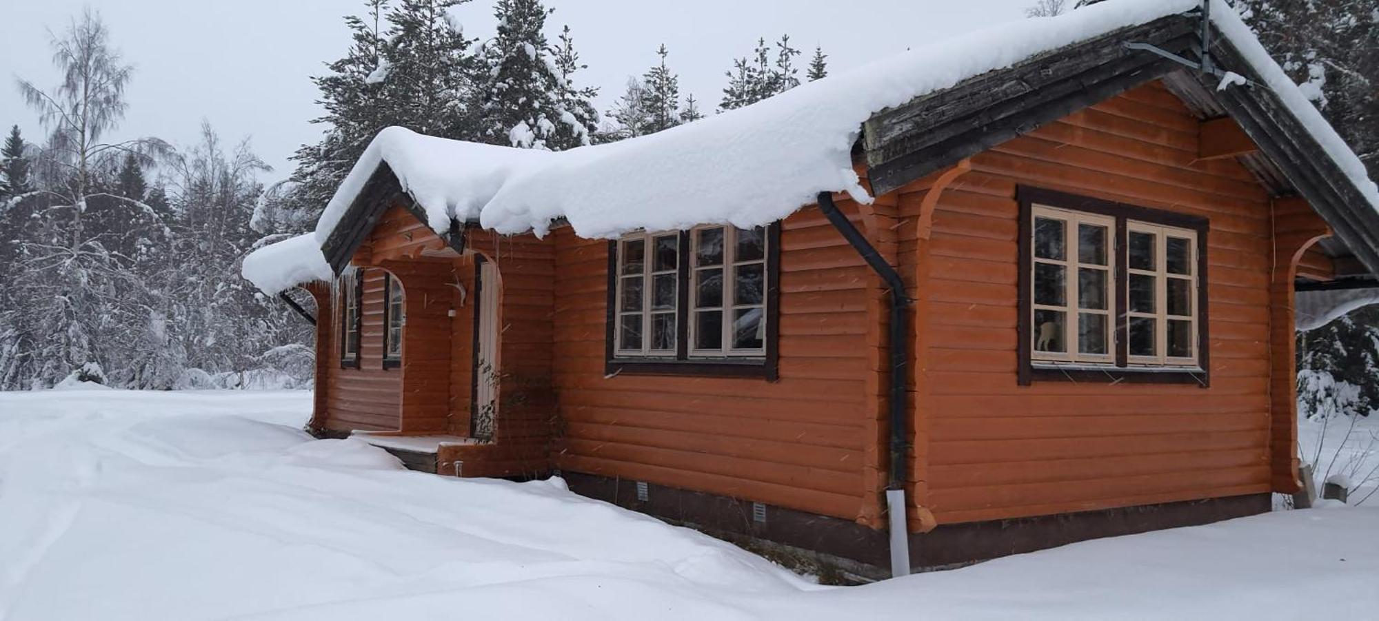 B&B Camp Aengra Lassekrog Exteriér fotografie